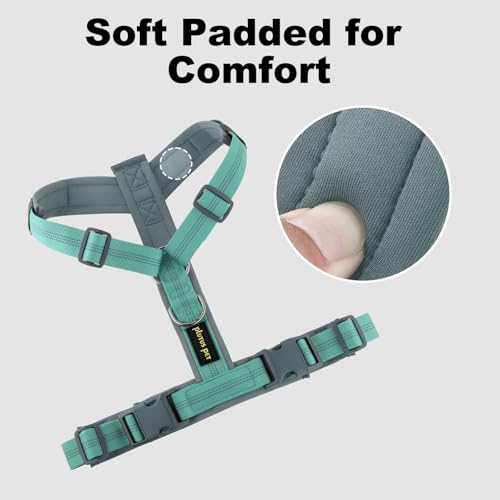 Plutus Pet No Pull Dog Harness, Adjustable Nylon Harness with Soft Padding, Reflective and Heavy Duty Dog Harness for Small, Medium, Large Dogs(Teal, S) - color: Teal, size: S