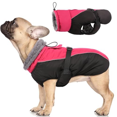 IDOMIK Dog Winter Coat, Reflective Waterproof Dog Jacket for Cold Weather, Warm Pet Coats for Small Medium Large Dogs, High Collar Doggy Fleece Snow Jacket, Winter Vest with Adjustable Buckle,S - color: Rose Red, size: Small