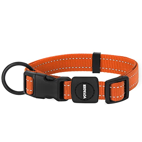 Best Pet Supplies Voyager Reflective Dog Leash or Collar with Neoprene Handle, for Small, Medium, and Large Breed Puppies, Cute and Heavy Duty for Walking, Running and Training - Orange, S - color: Collar (Orange), size: S (10" - 16")