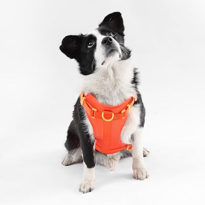HNS1003A Arlo Large Adjustable Soft Padded No Pull Pet Harness with 3 Buckles and 3 Leash Clips, Aperol - color: Dark Orange, size: Large (Chest: 24 - 37")