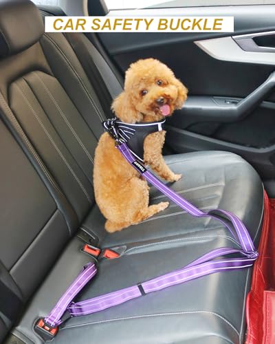 AUBELL Double Handle Tactical Dog Leash Heavy Duty for Small and Medium Large Dogs,Reflective Adjustable Nylon Leash that Pull with Car Seatbelt for Training,4.5-6FT,Purple - color: No bungee-Purple(4.5-6FT)