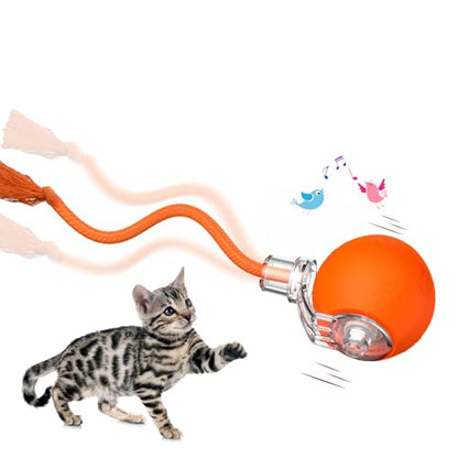 Interactive Cat Toys, Automatic Moving Cat Toys for Bored Indoor Adult Cats, Fast Rolling, Chirping & Motion-Activated Kitty Toys, Fun Gift for Cats with Speedy Tail 2.0, USB Rechargeable (Orange)