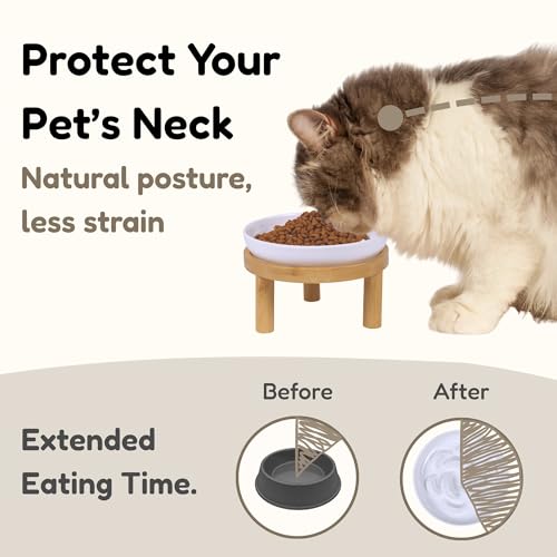 Slow Feeder Bowl, 6.3″ Elevated Cat Bowl with Stand, Melamine Wide Shallow Food Bowl, Whisker-Friendly Raised Plate, Wet Food Feeder for Slow Eating (White) - color: White, size: 1 Pack with Stand - 6.3''W x 1.5''H