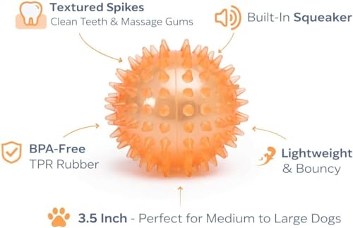 Squeaky Spiky Dog Ball for Teeth Cleaning & Gum Massage 3.5 Inch Medium Large Dogs Orange | Spiny TPR Rubber Chew Toy for Fetch Play Interactive Bouncy Dental Ball Durable BPA Free Nontoxic Floats - size: Orange, Ball - 1 Pack
