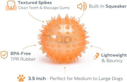 Squeaky Spiky Dog Ball for Teeth Cleaning & Gum Massage 3.5 Inch Medium Large Dogs Orange | Spiny TPR Rubber Chew Toy for Fetch Play Interactive Bouncy Dental Ball Durable BPA Free Nontoxic Floats - size: Orange, Ball - 1 Pack