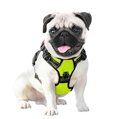 PHOEPET No Pull Dog Harnesses for Small Dogs Reflective Adjustable Front Clip Vest with Handle 2 Metal Rings 3 Buckles [Easy to Put on & Take Off] (XS, Green) - color: Green, size: Extra Small