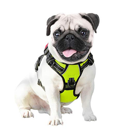 PHOEPET No Pull Dog Harnesses for Small Dogs Reflective Adjustable Front Clip Vest with Handle 2 Metal Rings 3 Buckles [Easy to Put on & Take Off] (XS, Green) - color: Green, size: Extra Small