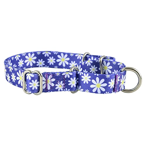 Martingale Collar for Dogs, No Slip Puppy Training for Boy or Girl, Small or Large Dogs, Cute Flower, Pink, American Flag Patterns (Large, Daisy) - color: Daisy, size: Large