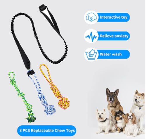 5PCS Spring Pole Dog Rope Toys, Dog Interactive Tether Tug of War Toy, Indoor Outdoor Bungee Hanging Toys, Dogs Tree Interactive Tether Pull & Tug of War Toy, Exercise Toy with Chew Rope for Dogs