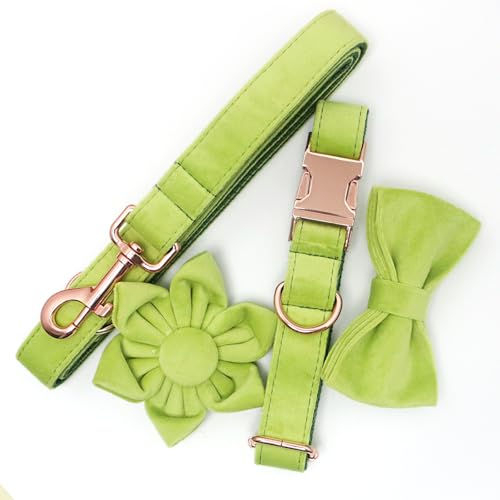 Personalized Velvet Dog Collar with Name - Custom Engraved Buckle, Adjustable Luxury Velvet Collar for Small Medium Large Dogs (Avocado Green, XS) - color: Avocado Green, size: XS