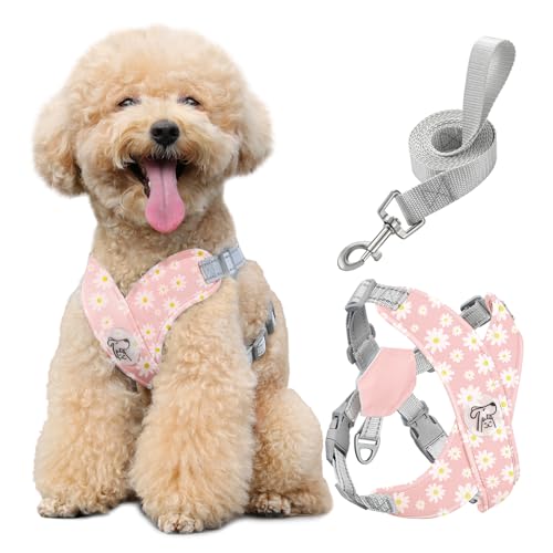 Pawaboo Small Dog Harness and Leash Set, Puppy Harness X-Frame No Pull No Choke, Dog Vest Harness Adjustable for Small Medium Sized Dogs,Soft Breathable Pet Harness for Walking Outing, M, Pink Daisy - color: B-Pink Daisy, size: M(Neck 15.7-18.9" Chest 14.