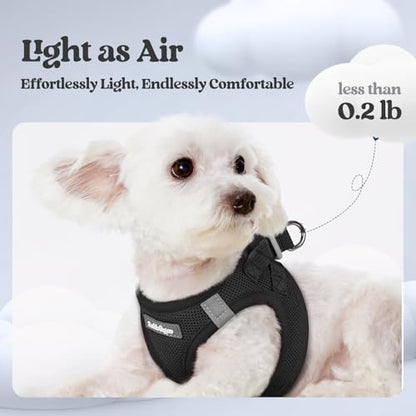 rabbitgoo Dog Harness Small Medium Sized and Leash Set, Step in Soft Light Puppy Vest, Breathable Mesh Pet Harness, Reflective for Safe Easy Walking, Black L - color: Black, size: L (chest: 18.2 - 20.5")
