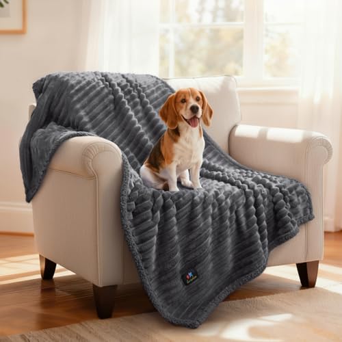 Luciphia Waterproof Dog Blanket for Medium Large Dogs Ultra-Soft Calming Cut Pile Flannel Throw Durable & Warm Furniture Protection for Couch Car Pet Blanket Machine Washable Stone Gray,M(57''x40'') - color: Stone Gray, size: M(57''x40'')