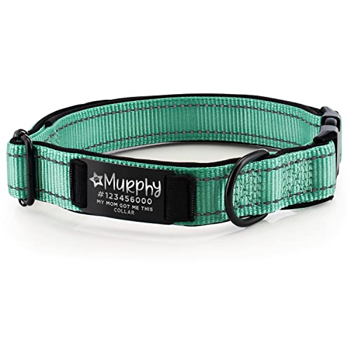 Improved - Personalized Dog Collars w/Engraved Metal ID Nameplate for Name & 3 Lines Text - Custom 20 Icons, 4 Adjustable Sizes, 10 Fonts - Dog Collar for Large Dogs, Dog ID Tag Personalized - Teal - color: Teal