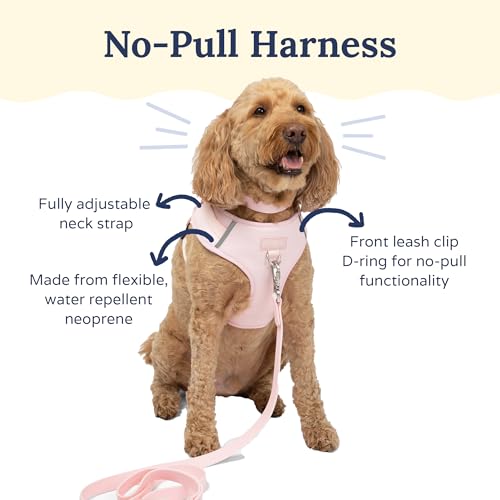 Lucy & Co. The Rosewater No-Pull Dog Harness - Size Small - Vest to Stop Pulling & Walk Easy - Comfortable Leash Training Product w/Adjustable Chest & Neck Straps - color: The Rosewater No-Pull Harness, size: Small