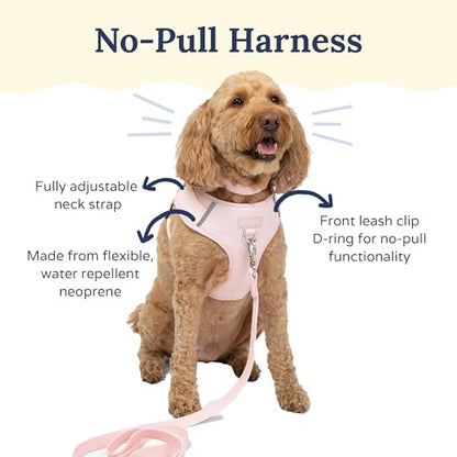 Lucy & Co. The Rosewater No-Pull Dog Harness - Size Small - Vest to Stop Pulling & Walk Easy - Comfortable Leash Training Product w/Adjustable Chest & Neck Straps - color: The Rosewater No-Pull Harness, size: Small