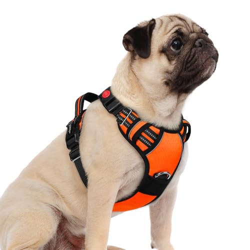 rabbitgoo Dog Harness Small Sized, No Pull Dog Vest with 3 Buckles, Adjustable Soft Padded Pet Harness with Easy Control Handle and Reflective Strips, Orange, S - color: Orange, size: Small