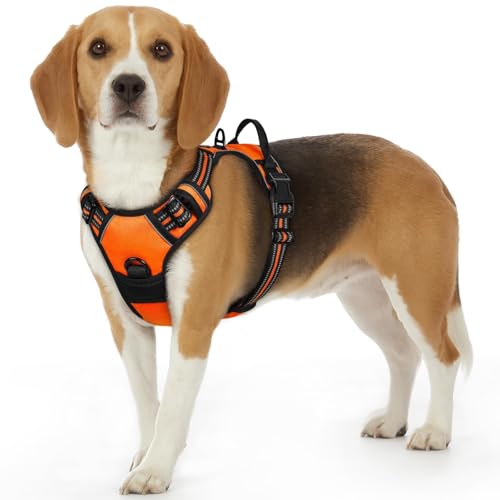 Dog Harness Small Sized Dog, No Pull Service Vest with Reflective Strips and Control Handle, Adjustable and Comfortable for Walking, No Choke Pet Harness with 2 Metal Rings, Orange, S - color: Orange, size: Small