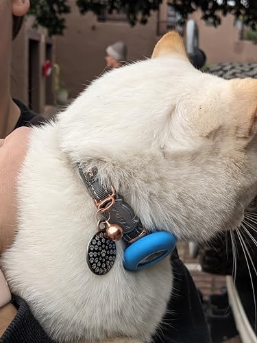 Rogz Urban Cat Safety Collar Small/Medium - Turquoise Moon - color: Turquoise Moon