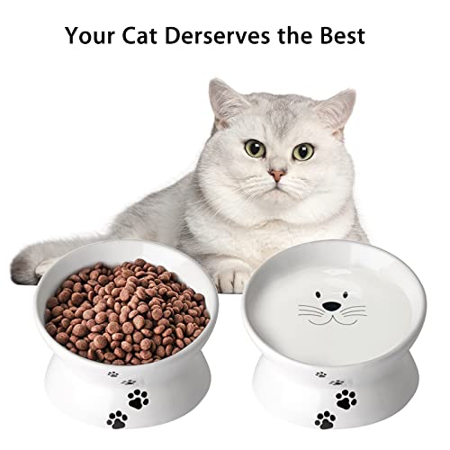 Cat Food Bowls, 10 OZ Elevated Cat Bowls for Cats and Small Dogs, Tilted Pet Feeder Bowl with Raised Stand Protect Cat's Spine, Ceramic Cat Water Bowl No-Spill, Stress Free Cat Dish 1pcs - color: White*1