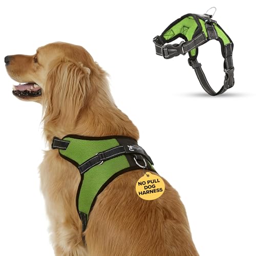 No Pull Reflective Adjustable Dog Harness with Handle- Comfortable Soft All Weather Mesh, Easy On Puppy Harness for Small Medium and Large Dogs (Green) Large - color: Green, size: Large