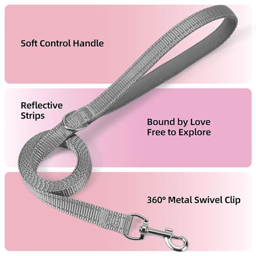 Sparkly Dog Harness Small Sized and Leash Set for Small Dogs Cats,Purple S Puppy Harness, Step in Soft Dog Reflective Vest, Breathable Mesh Pet Harness. (Purple, M) - color: Purple, size: M