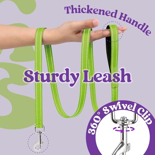 rabbitgoo Dog Harness Small Sized and Leash Set, Step-in Breathable Pet Harness, Soft Walking Reflective Puppy Vest for Small Dogs, Purple & Green, XXS - color: Purple & Green, size: XXS (Chest: 12.4 - 14.2")