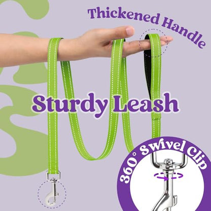 rabbitgoo Dog Harness Small Sized and Leash Set, Step-in Breathable Pet Harness, Soft Walking Reflective Puppy Vest for Small Dogs, Purple & Green, XXS - color: Purple & Green, size: XXS (Chest: 12.4 - 14.2")