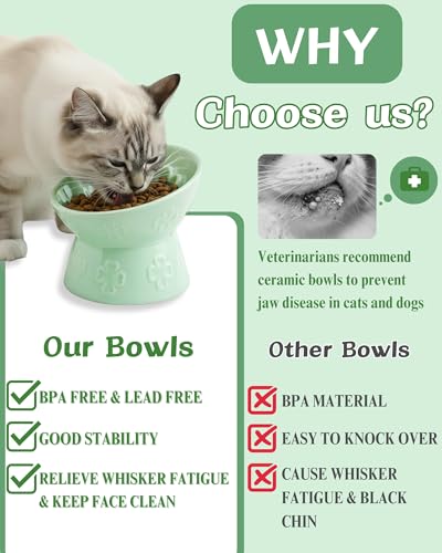 Ceramic Slow Feeder Cat Bowl, 15° Tilted Elevated Cat Slow Eating Bowl for Neck Protection, Anti Vomiting Dog Slow Feeder, Whisker Friendly & No Black Chin for Cats and Small Dogs, Green - color: 02-Green