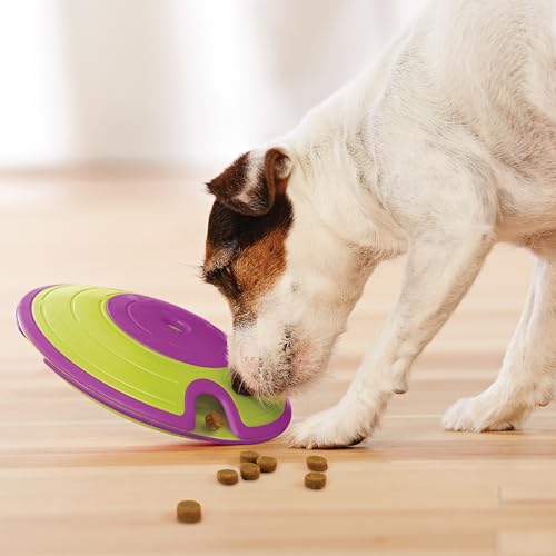 Outward Hound by Nina Ottosson Dog Treat Maze Dog Puzzle Enrichment Toy, Level 2 Intermediate, Green - color: Treat Maze (Purple, Green)
