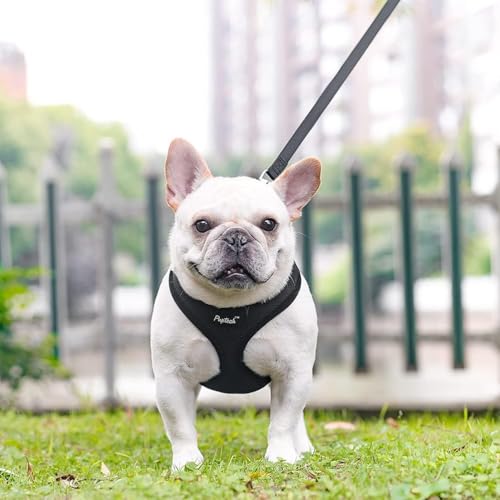PUPTECK Soft Mesh Dog Harness and Leash Set Pet Puppy Cat Comfort Padded Vest No Pull Harnesses, Solid Black, XS - color: Solid Black, size: XS (NECK: 10", CHEST: 10"-14")