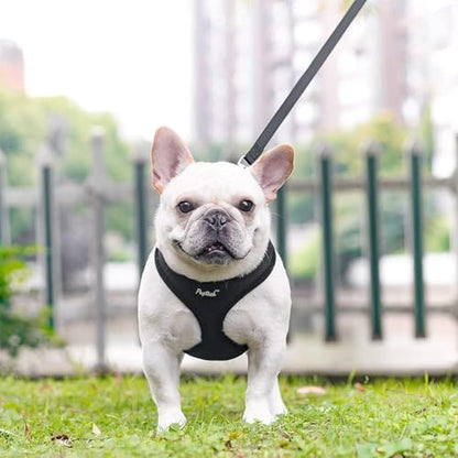 PUPTECK Soft Mesh Dog Harness and Leash Set Pet Puppy Cat Comfort Padded Vest No Pull Harnesses, Solid Black, XS - color: Solid Black, size: XS (NECK: 10", CHEST: 10"-14")