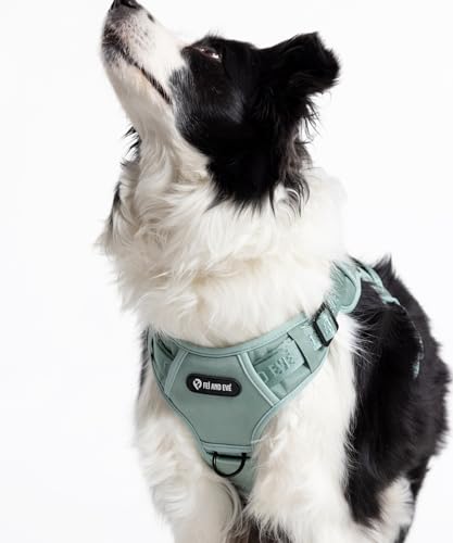 2026 New Edition, Fei & Eve Classic Dog Harness - Quick-Release Buckles | 3-Point No-Pull Control | Heavy-Duty 900D Nylon | Dual Safety Handles | Breathable Mesh | Adjustable Fit | Large,Green - color: Glacier Green, size: L