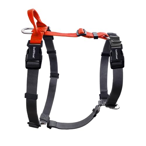 Non-Restrictive Dog Harness, Easy Walk Freedom No Pull Harness, Keep Balance, Neck-Buckle, Six Points Adjustment, 2 Leash Clips for Back and Front Clip (Orange/Black, Small) - color: Orange/Black, size: S