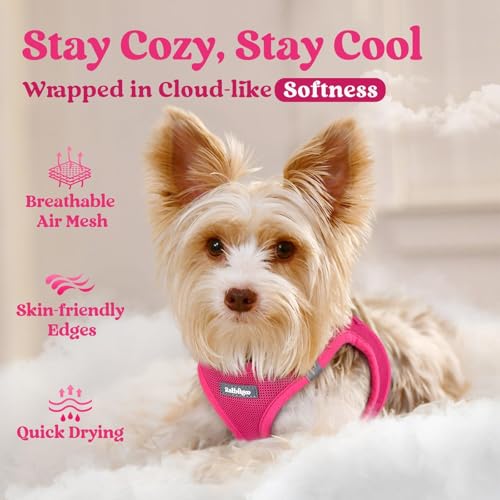 rabbitgoo Small Dog Harness, Step-in Soft Mesh Puppy Vest with Safety Buckle, Breathable Reflective Pet Harness for Large Dogs, Rose Red XXL - color: Rose Red, size: Xxl(chest:21.6"-23.7")