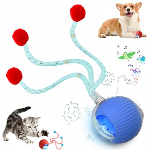 Speed 2.0 Tail Interactive Cat Toys for Indoor Cats, Chirping & Motion Activate Cat Toy, Smart Kitten Rolling Ball Moving Ball Toys, Rechargeable Dog Cat Bal l for Enrichment Exercise (New Blue) - color: New Blue