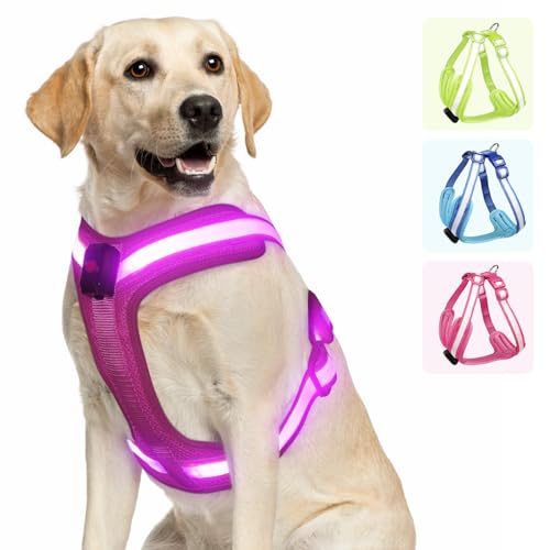 Light Up Dog Harness - LED Dog Harness Rechargeable, No Choke Illuminated Glow Dark Harness Vest Waterproof for Medium Large XL Dogs for Camping Night Safety Walking-Pink,M - color: Pink, size: Medium
