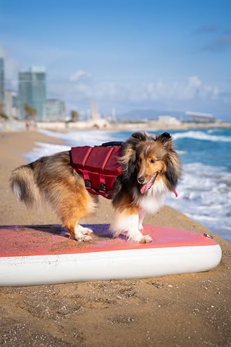 NOAH & PAW Dog Life Jacket, Human Standards Lifejacket Design, Dog Life Vest for Swimming and Boating, 3X Foam Support for Max Floating, Breathable Mesh, Salvavidas para Perros, Size XL - size: XL