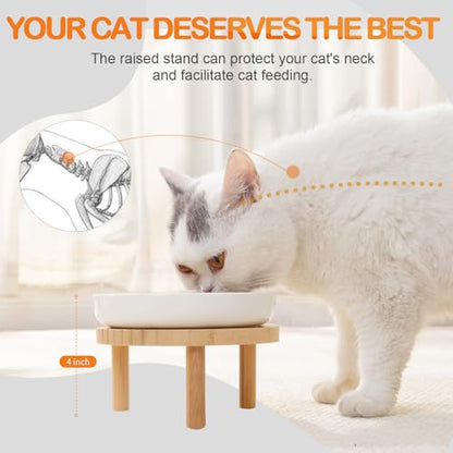 Raised Slow Feeder Cat Bowl, 5.9 Inch Wide Shallow Ceramic Elevated Glass Food Bowl Puzzle Feeders, Anti Vomit Cat Dish, Whisker Friendly Pet Plates Feeding Station for Indoor Cats, Kitten(2 Set) - size: 1 Slow Feeder & 1 Cat Plate