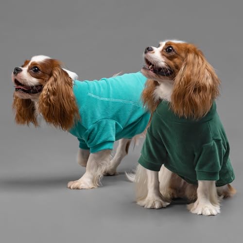 Fitwarm 3 Pack Fleece Sweater, Turtleneck Sweatshirt, Winter Clothes for Small Dogs & Cats, Pet Pullover Jumper, Cat Apparel, Dark Green, Teal Green, Olive Green, XS - color: Dark Green-Aqua Green-Bean Green, size: X-Small