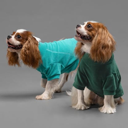 Fitwarm 3 Pack Fleece Dog Sweater, Turtleneck Dog Sweatshirt, Dog Winter Clothes for Small Dogs Boy Girl, Pet Pullover Jumper, Cat Apparel, Dark Green, Teal Green, Olive Green, Small - color: Dark Green-Aqua Green-Bean Green, size: Small