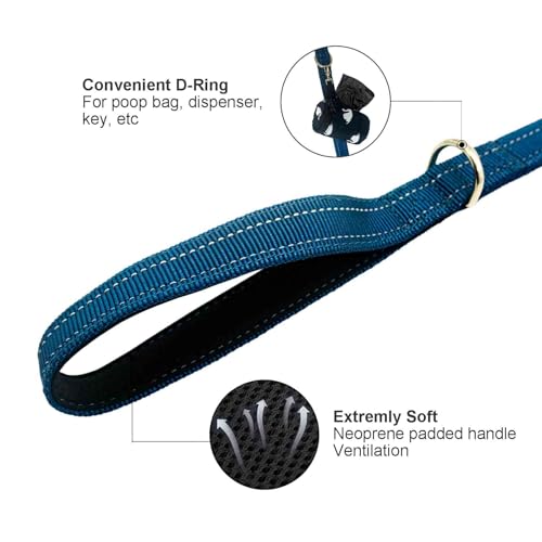 Dual Padded Handle Walking and Training Standard Leashes for Large Dogs with Reflective Stitching, 360° Rotatable Heavy Duty Metal Buckle, D-Ring, Durable Nylon, 6Ft Long 1" Wide - color: Blue, size: 6Ft