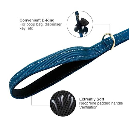 Dual Padded Handle Walking and Training Standard Leashes for Large Dogs with Reflective Stitching, 360° Rotatable Heavy Duty Metal Buckle, D-Ring, Durable Nylon, 6Ft Long 1" Wide - color: Blue, size: 6Ft