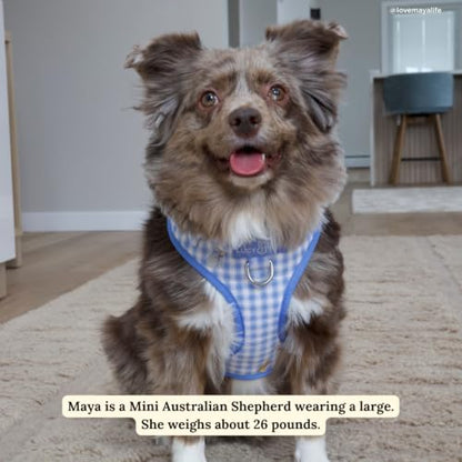 Lucy & Co. Silly Goose No-Pull Dog Harness, Adjustable Front Clip Harness with Comfort Padding, Small - color: Silly Goose, size: Small