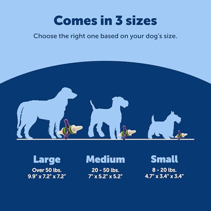 PetSafe Premier Busy Buddy Jack Pet Toy, Large - size: Large, style: Treat Holding Jack