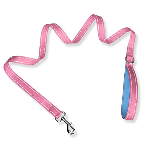 PHOEPET 5 Feet Dog Leash - Dual-Side Reflective - Soft Padded Handle - Fit for Walking, Training or Exploring Hiking, Camping (Baby Pink + Blue Base) - color: Baby Pink + Blue Base