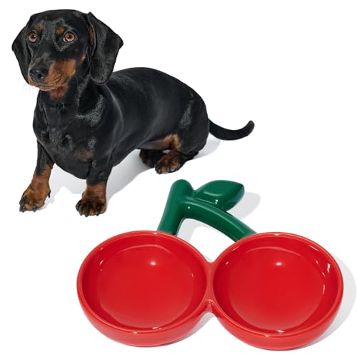 VETRESKA Ceramic Pet Bowl Tilted Design Pet Feeder for Food and Water Anti Vomit Cat Bowls for Indoor Cats Cute Cherry Cat Bowl Dishwasher Safe - color: Cherry Bowl