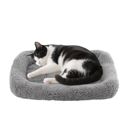 Small Cat Bed Mat, 22" x 16" Plush Cushion with Surrounding Pillow for Small to Meidum Dogs Cats Sleeping, Indoor Pet Beds Furniture Carrier Crate Anti Skid Pad, Washable, Medium - color: M (22 x 16 inch)