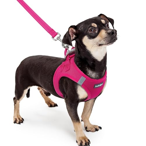 rabbitgoo Dog Harness Small Sized and Leash Set, Step in Soft Light Puppy Vest, Breathable Mesh Pet Harness, Reflective for Safe Easy Walking, Rosa Red XXXS - color: Rose Red, size: Xxxs (chest: 10.8 - 11.8")
