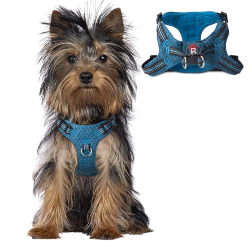 BARKBAY Dog Harness, Reflective Adjustable Step-in Vest Harness, Blue/Black, XXS - color: Blue/Black, size: XX-Small